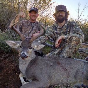 Meet your Posher, Blaze